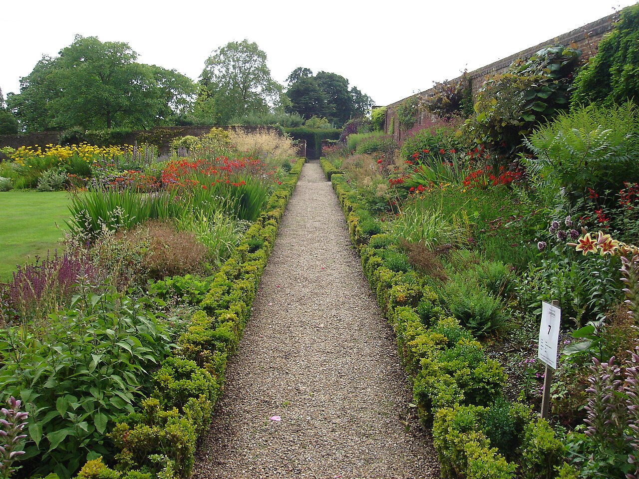 A gravel path running between two deep perennial borders filled with red, orange, yellow and purple flowers, edged with low hedges beside an old brick wall